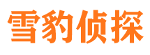 武江捉小三公司